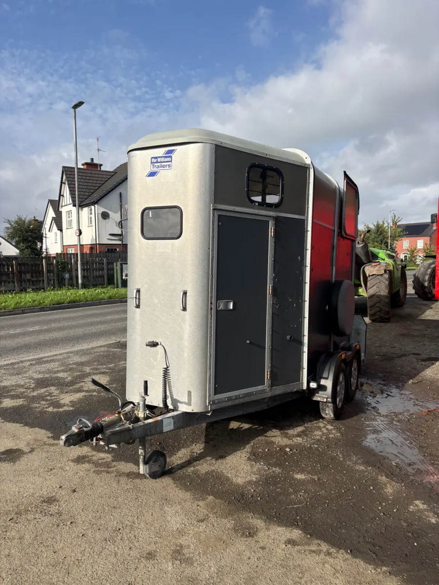 Ifor Williams 505 epona horsebox - Image 1