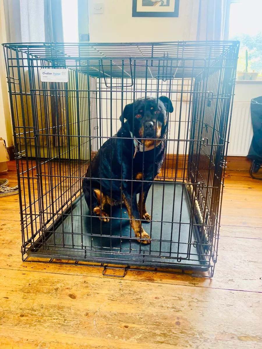 Dog crate large heavy duty - Image 1