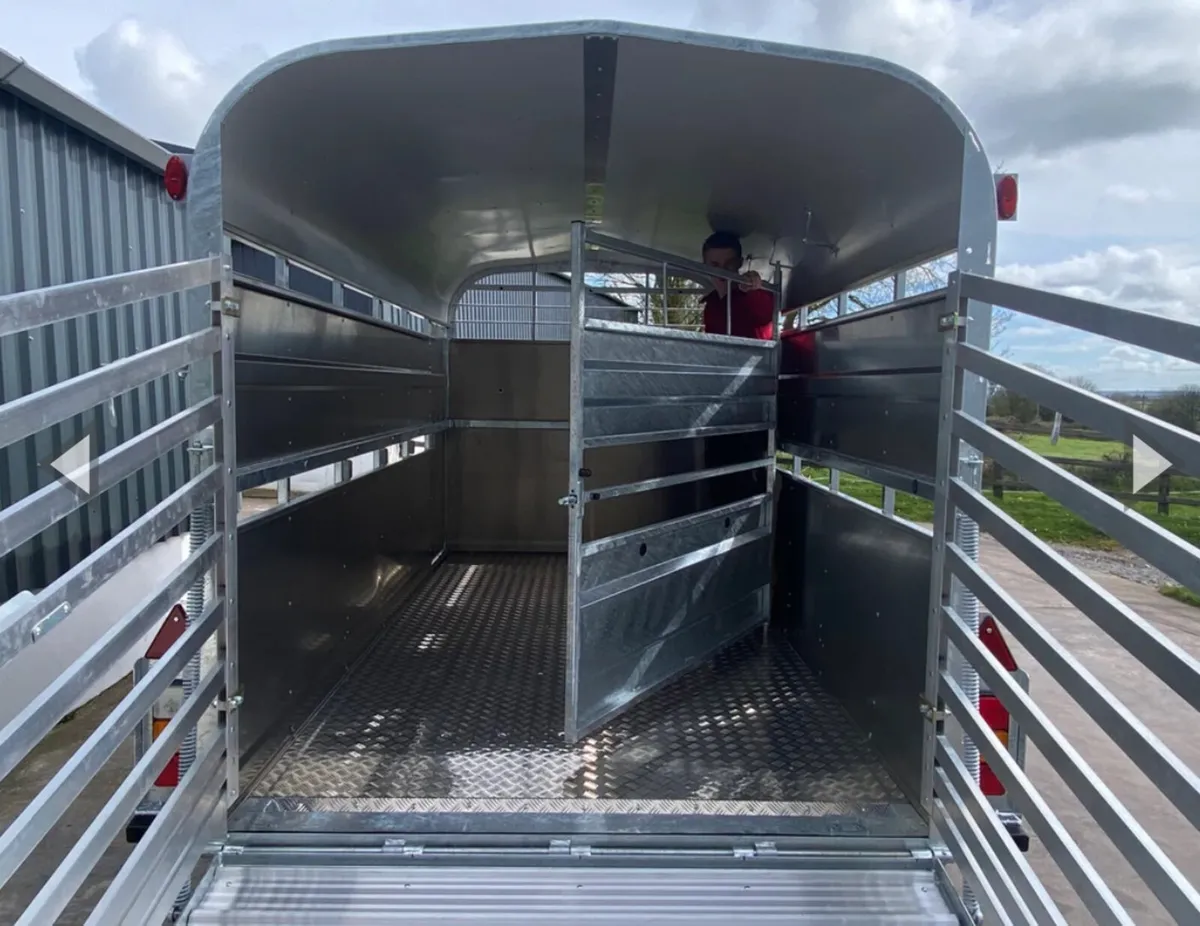 Nugent 12x6 cattle trailer - Brand new €8600 - Image 3