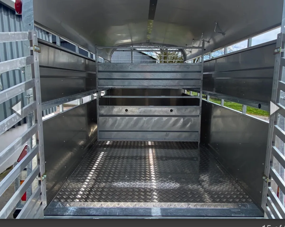 Nugent 12x6 cattle trailer - Brand new €8600 - Image 4