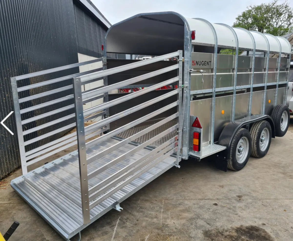 Nugent 12x6 cattle trailer - Brand new €8600 - Image 2