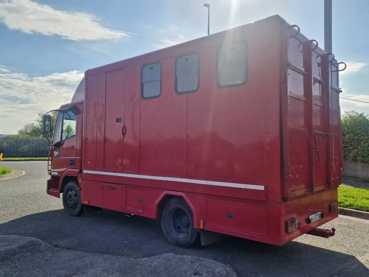 Iveco horse truck. Fresh cvrt. Full year's test. - Image 4