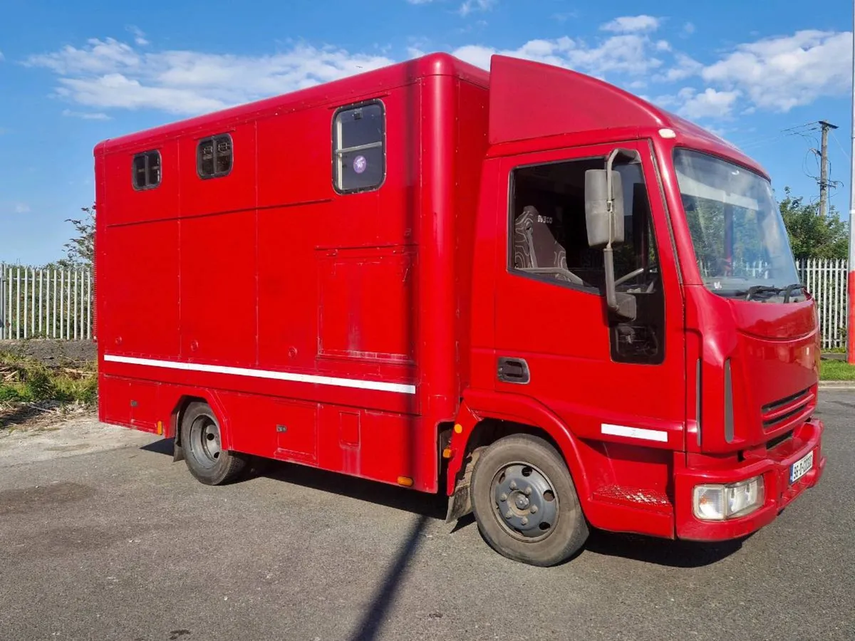 Iveco horse truck. Fresh cvrt. Full year's test. - Image 2