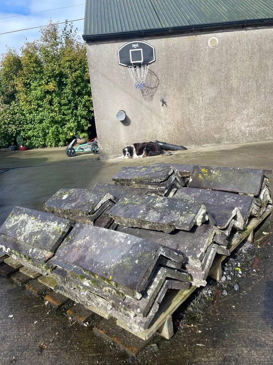 Ridge tiles - Image 1
