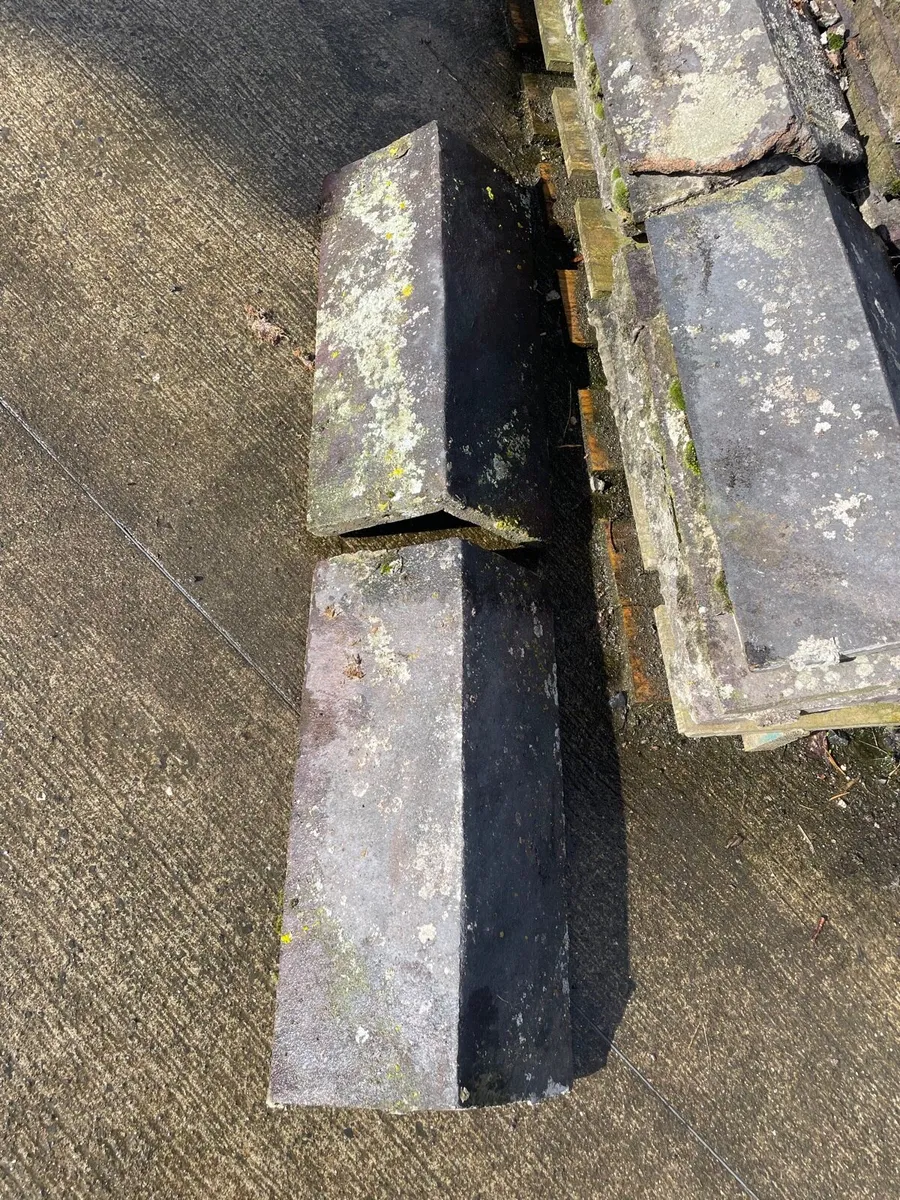 Ridge tiles - Image 3