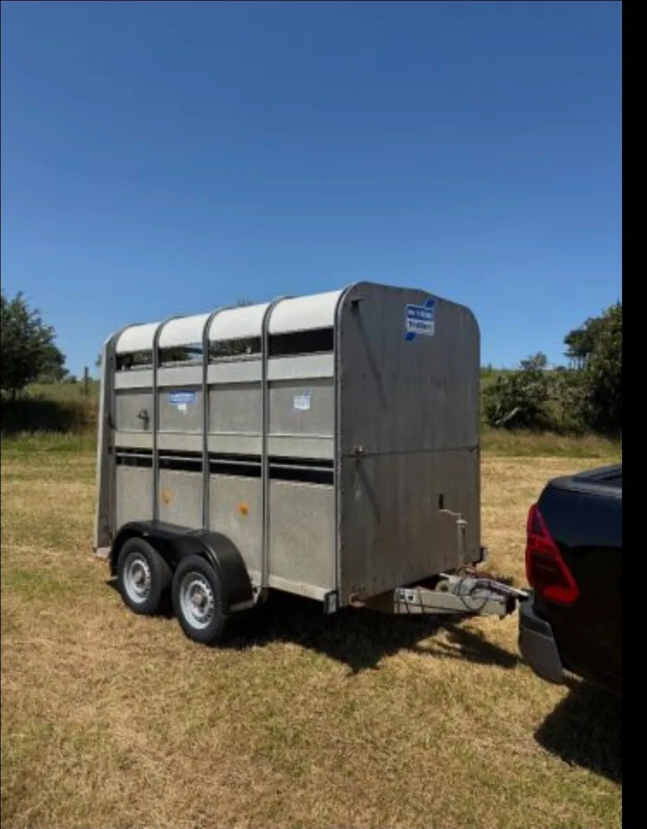 Ifor williams 8×5 Trailer

Led lights - Image 1