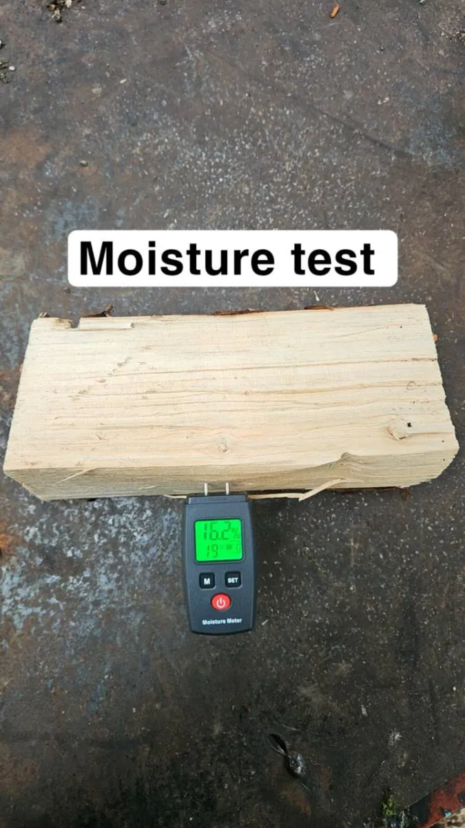 Firewood - Image 3