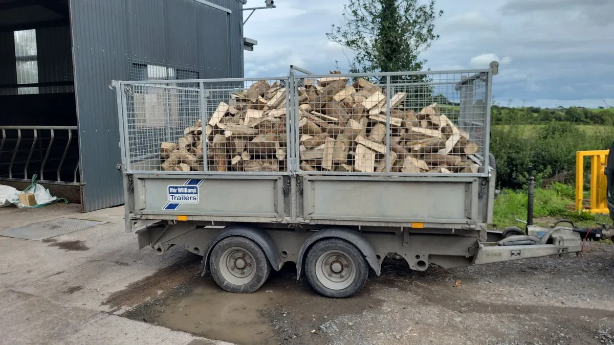 Ash Firewood - Image 4