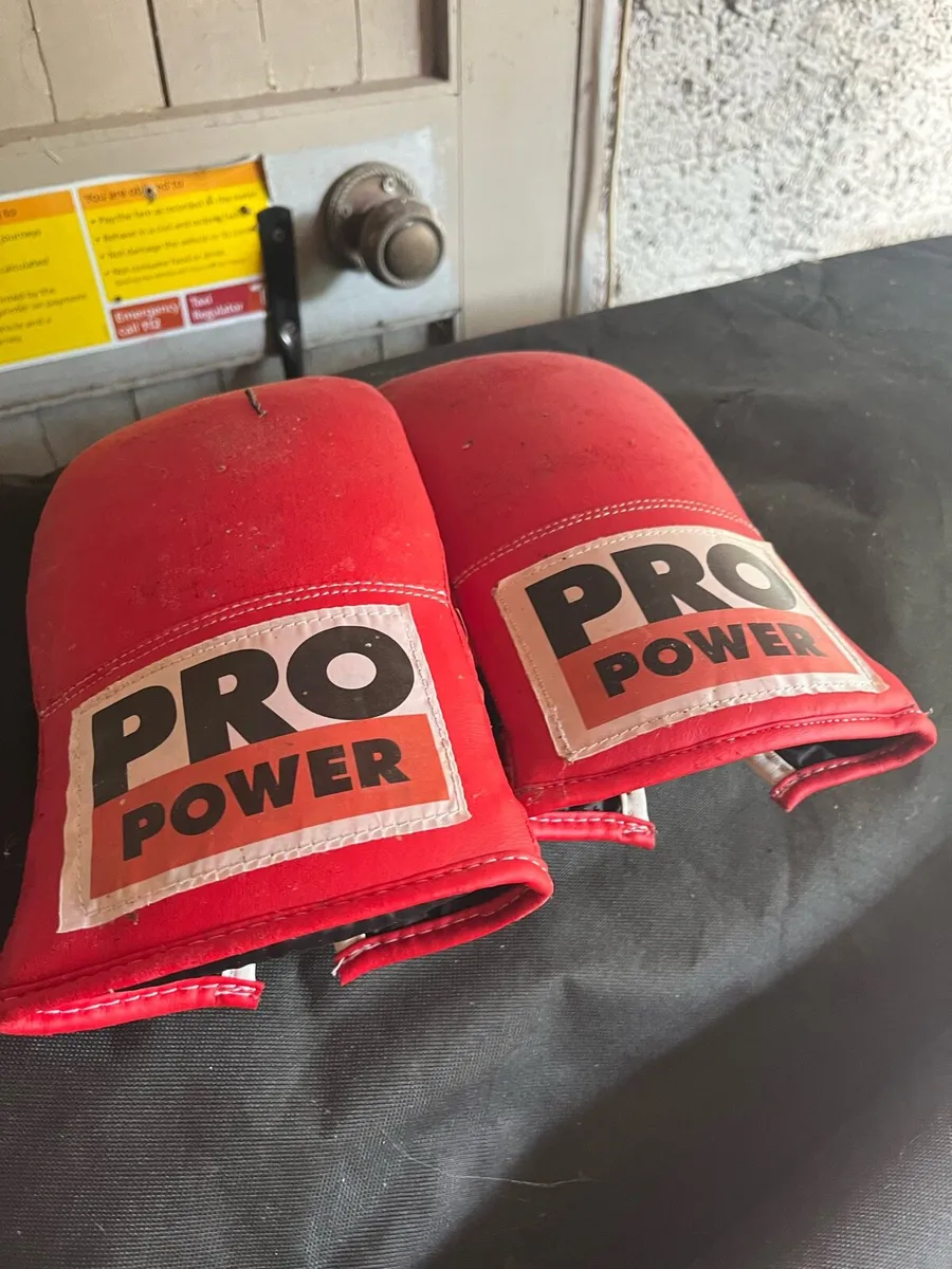 Boxing Gym Bag with Gloves - Image 2