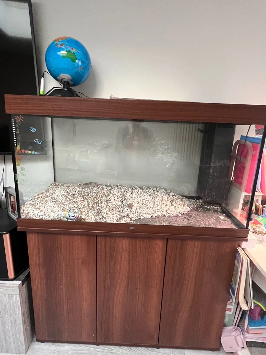 Fish tank - Image 1