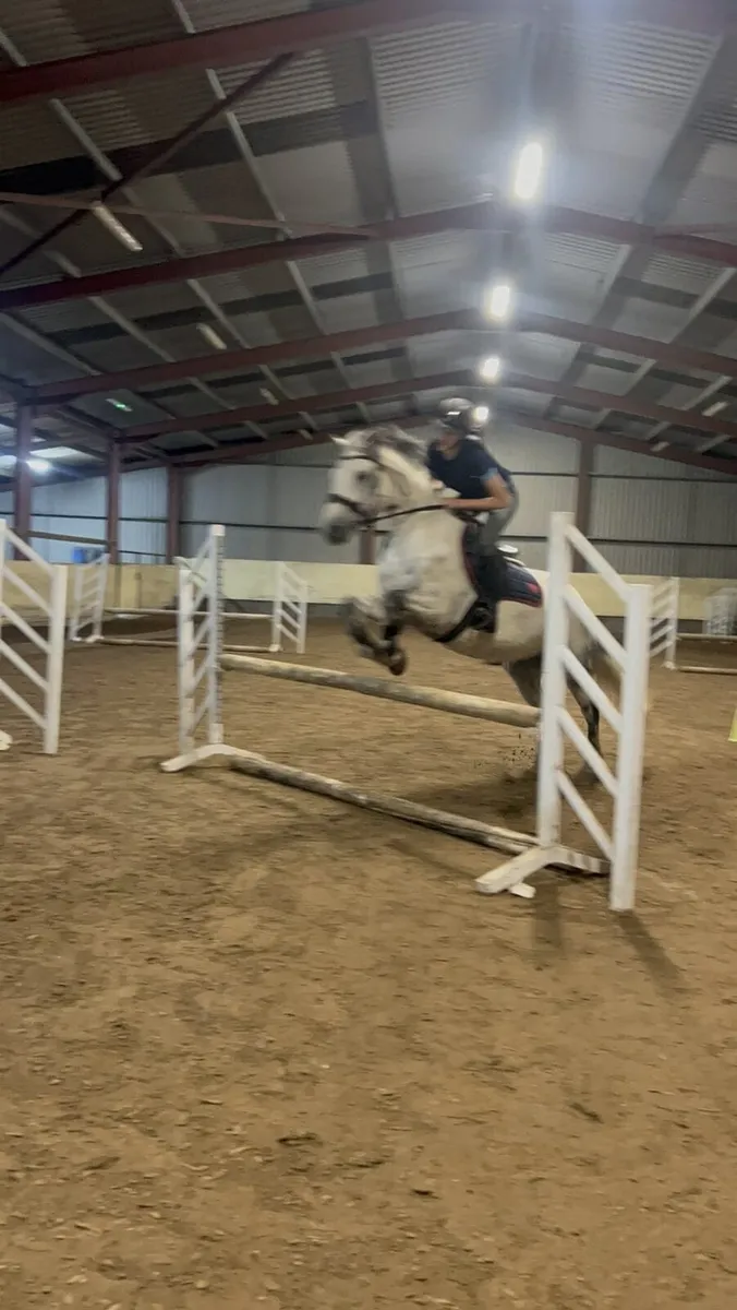 Pony - Image 1
