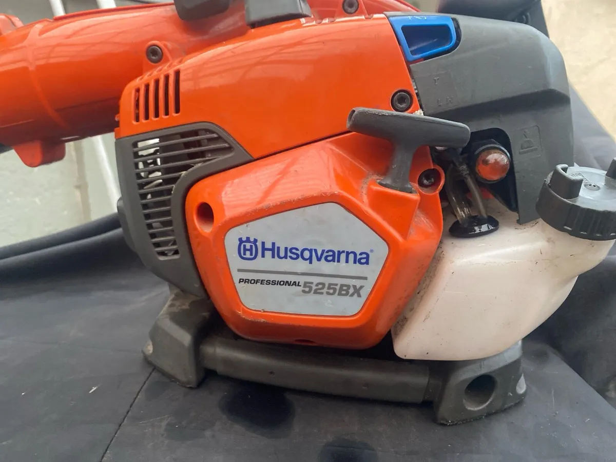 Leaf blower - Image 2