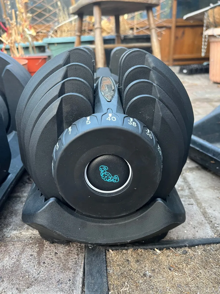 40kg Adjustable Dumbells - Image 1