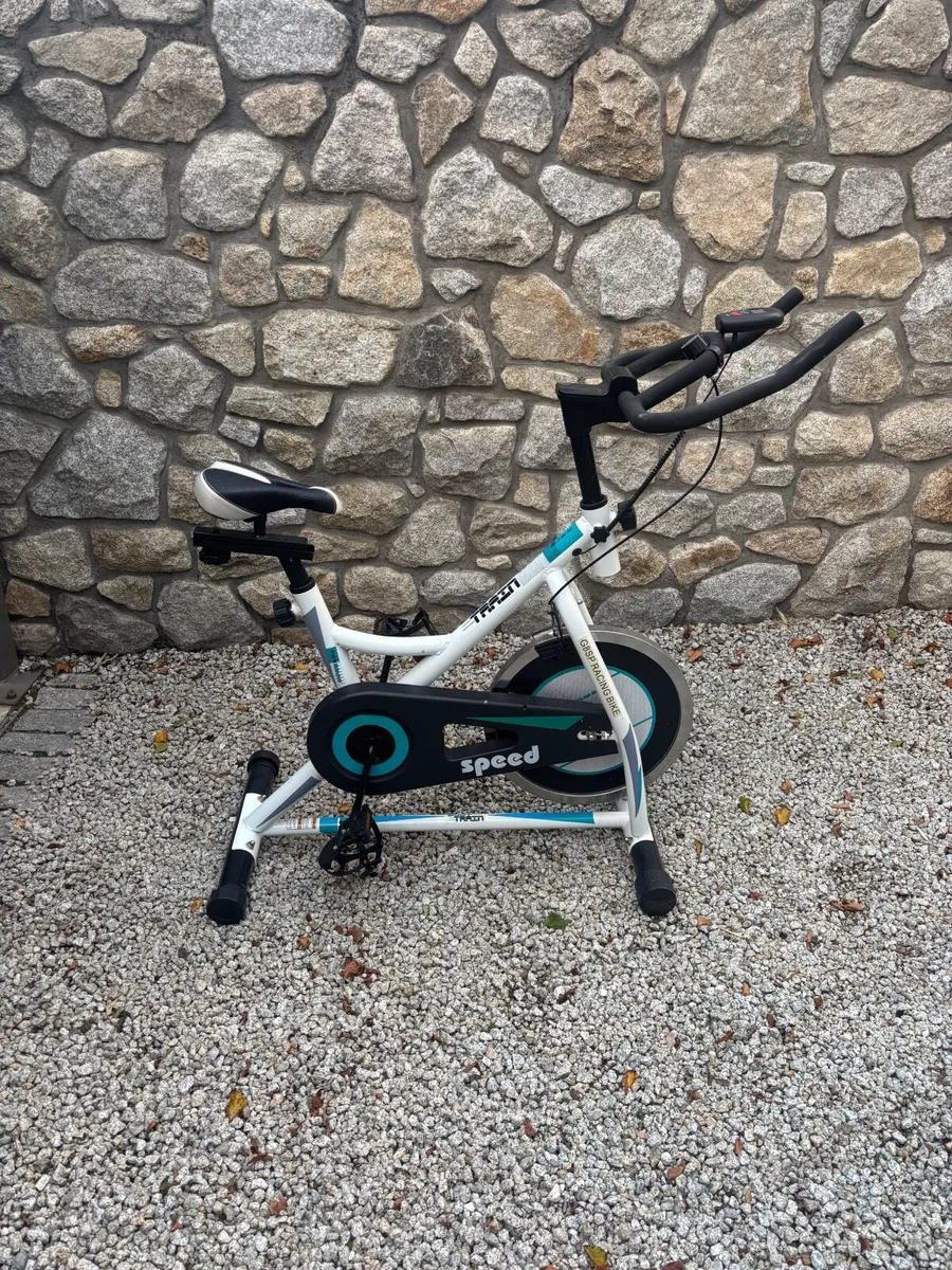 Home bike - Image 1