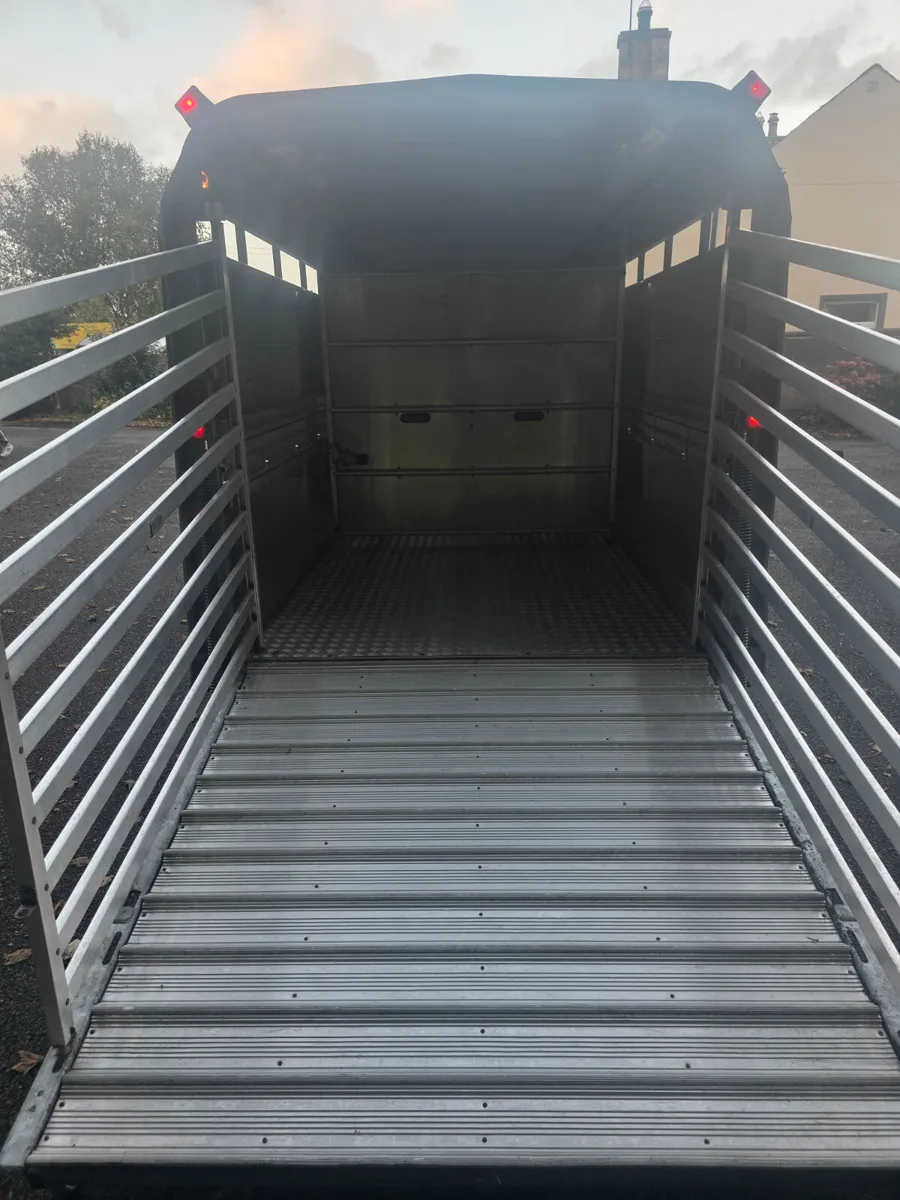 As new 12ft ifor Williams cattle trailer - Image 3