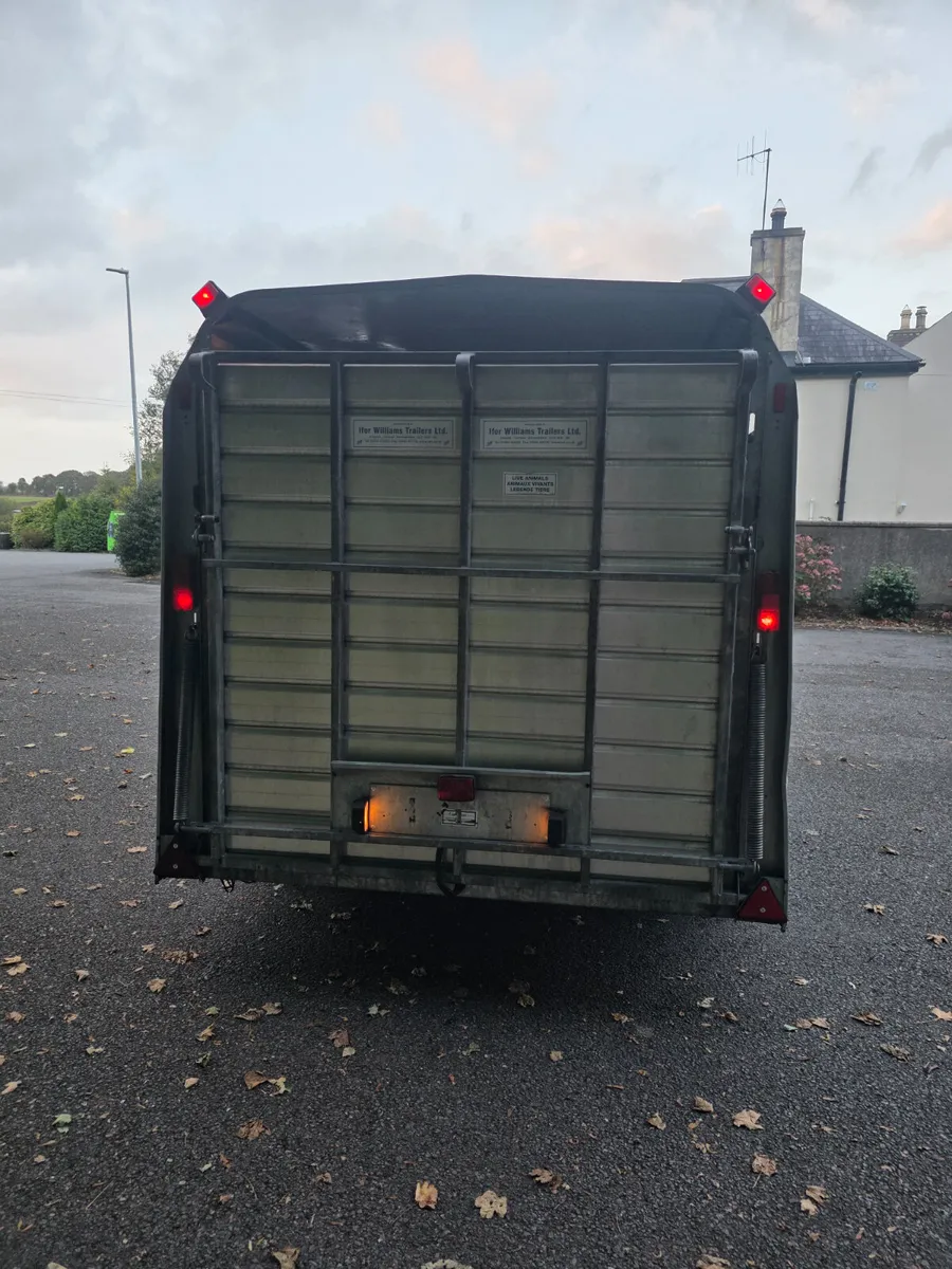 As new 12ft ifor Williams cattle trailer - Image 2