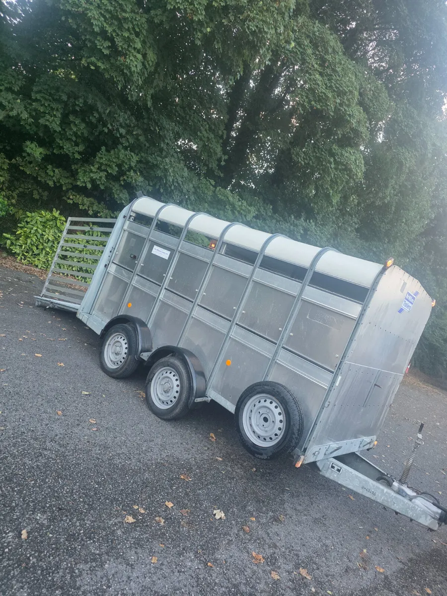 As new 12ft ifor Williams cattle trailer - Image 4