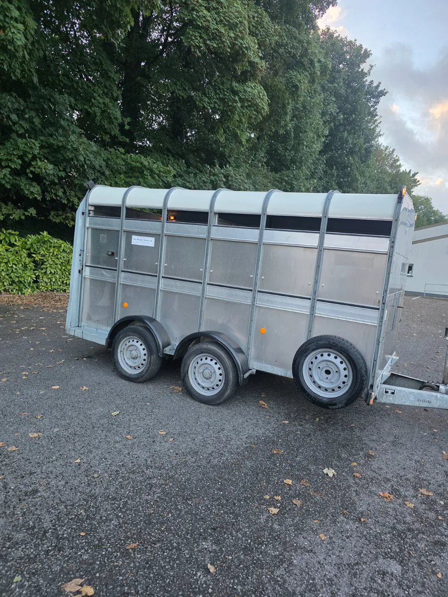As new 12ft ifor Williams cattle trailer - Image 1