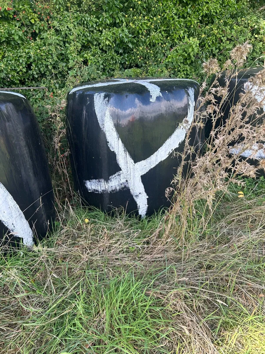 Silage bales