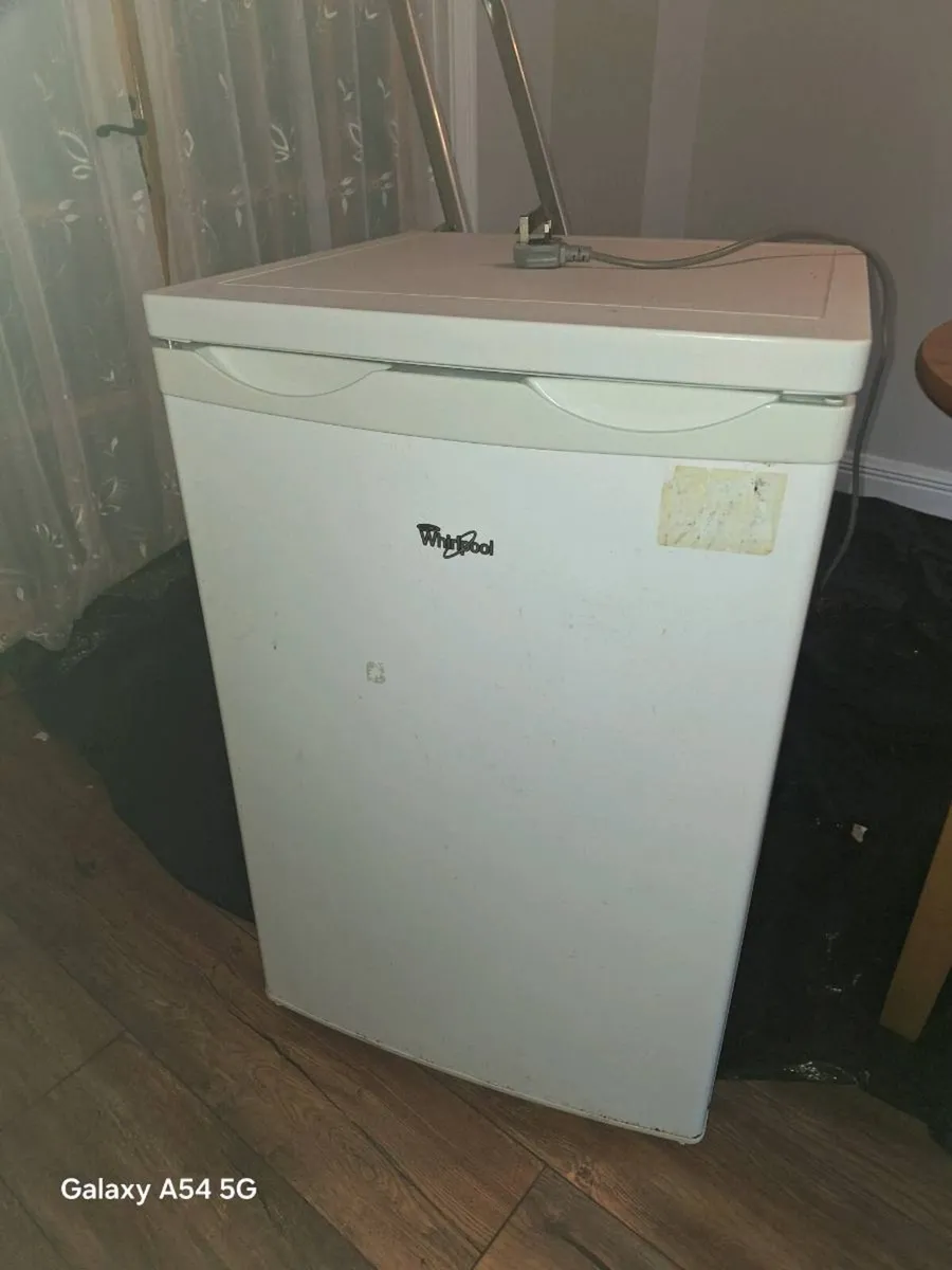 Fridge Freezer & Showjumping Jacket - Image 1