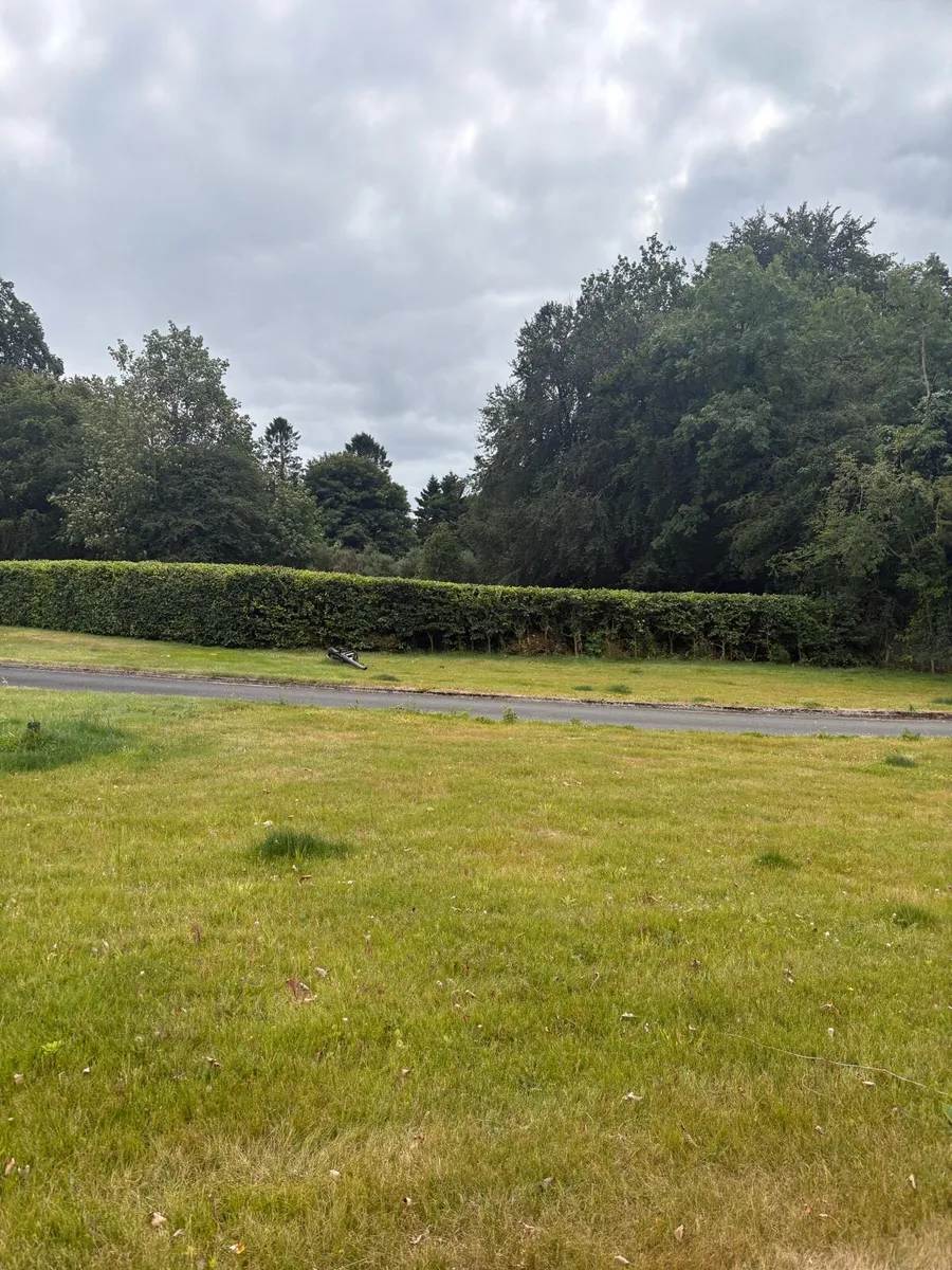 Hedge cutting services - Image 4