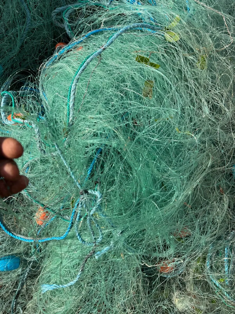 Pollock nets - Image 1