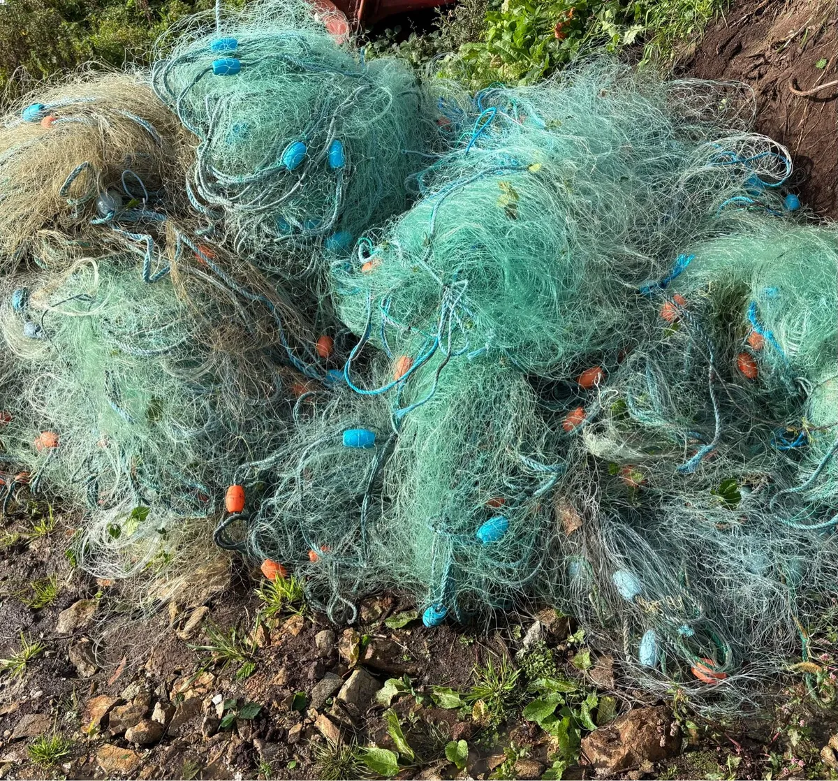 Pollock nets - Image 2