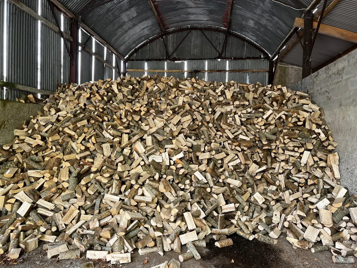 Firewood - Image 2