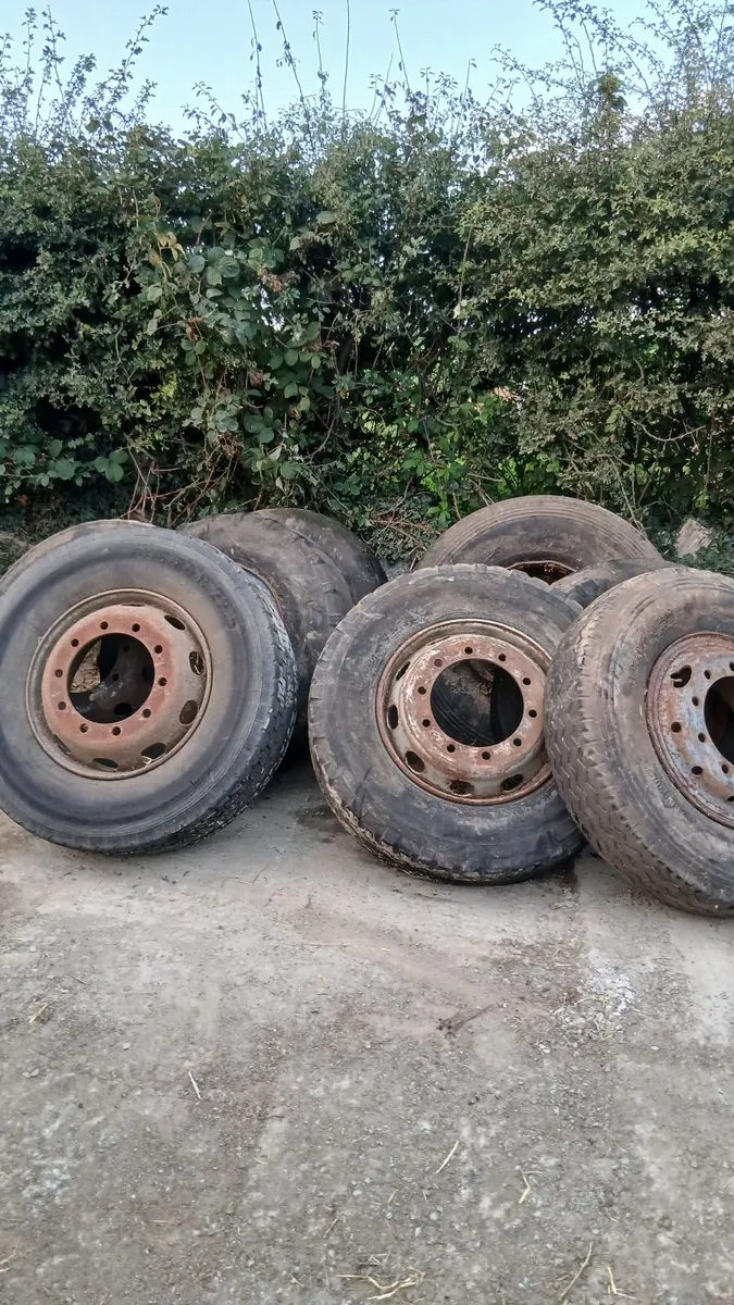 Free wheels - Image 4