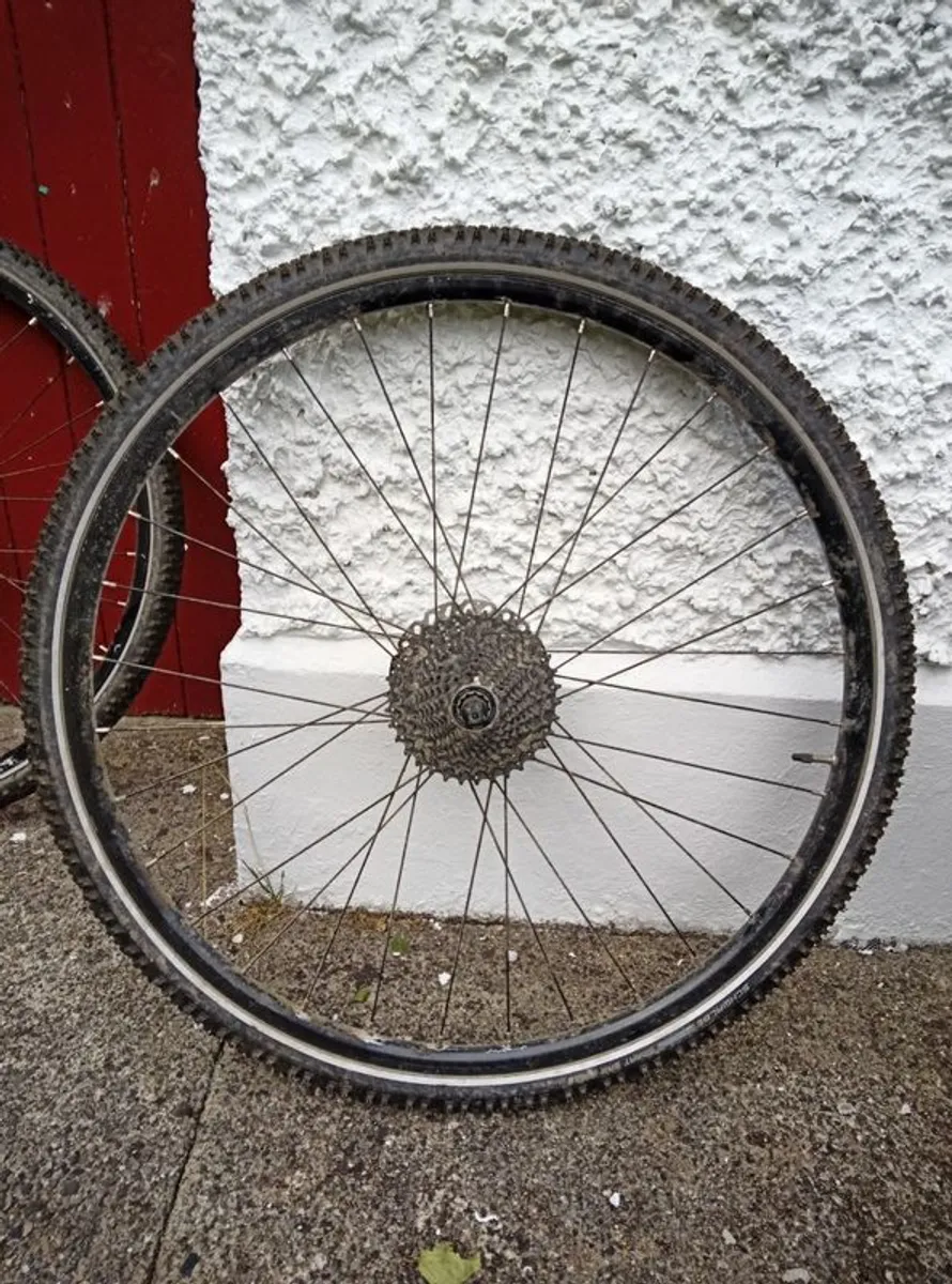 Gravel Wheelset & Elite Fluid Turbo Trainer - Image 3