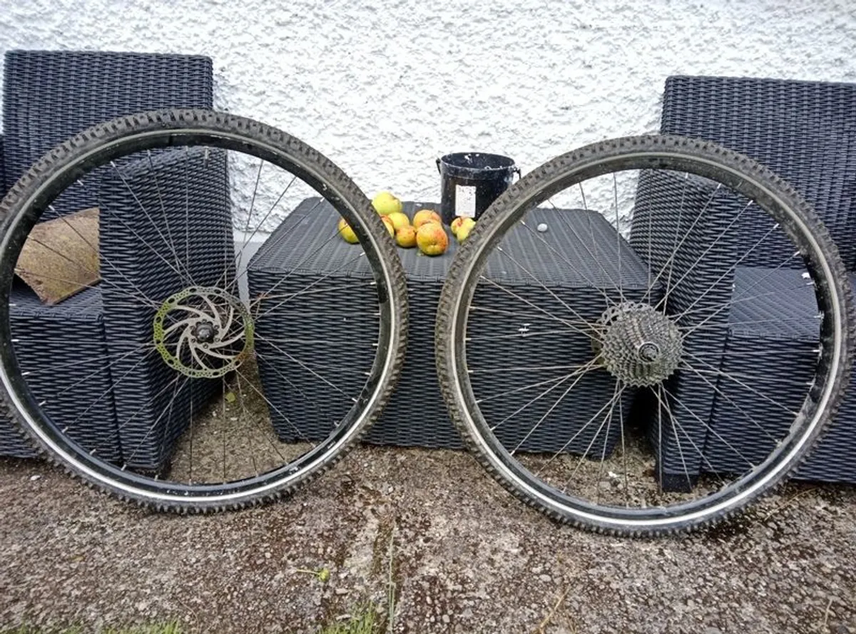 Gravel Wheelset & Elite Fluid Turbo Trainer - Image 1