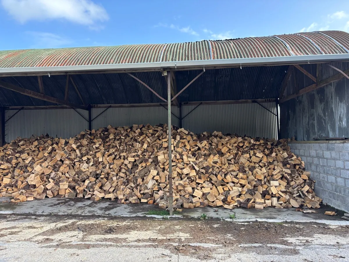 Firewood for sale - Image 2