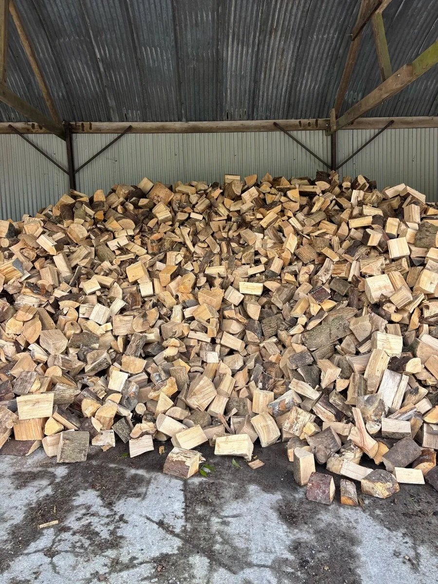 Firewood for sale - Image 3