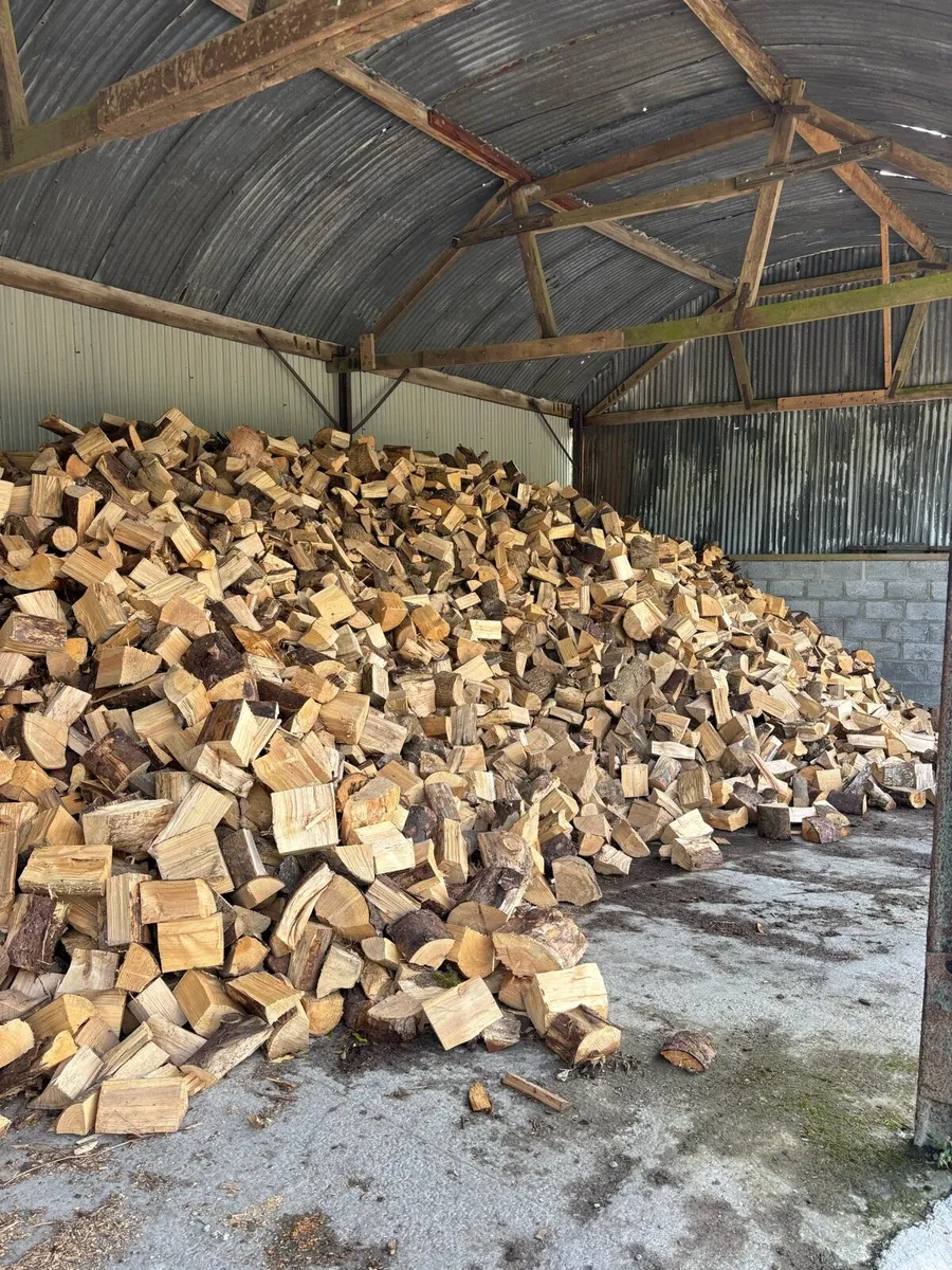 Firewood for sale - Image 4