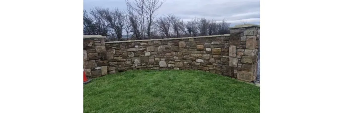 Landscape - Image 3