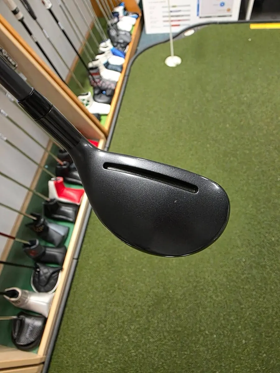 Adams Pro Hybrid - Image 2