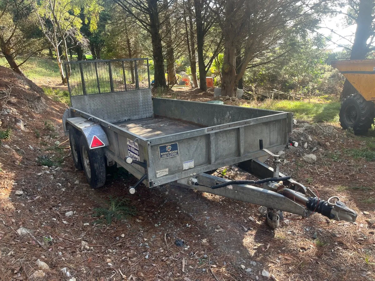 12x6 iforwilliams plant trailer - Image 3