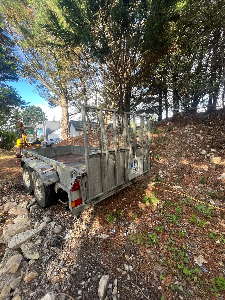 12x6 iforwilliams plant trailer - Image 4