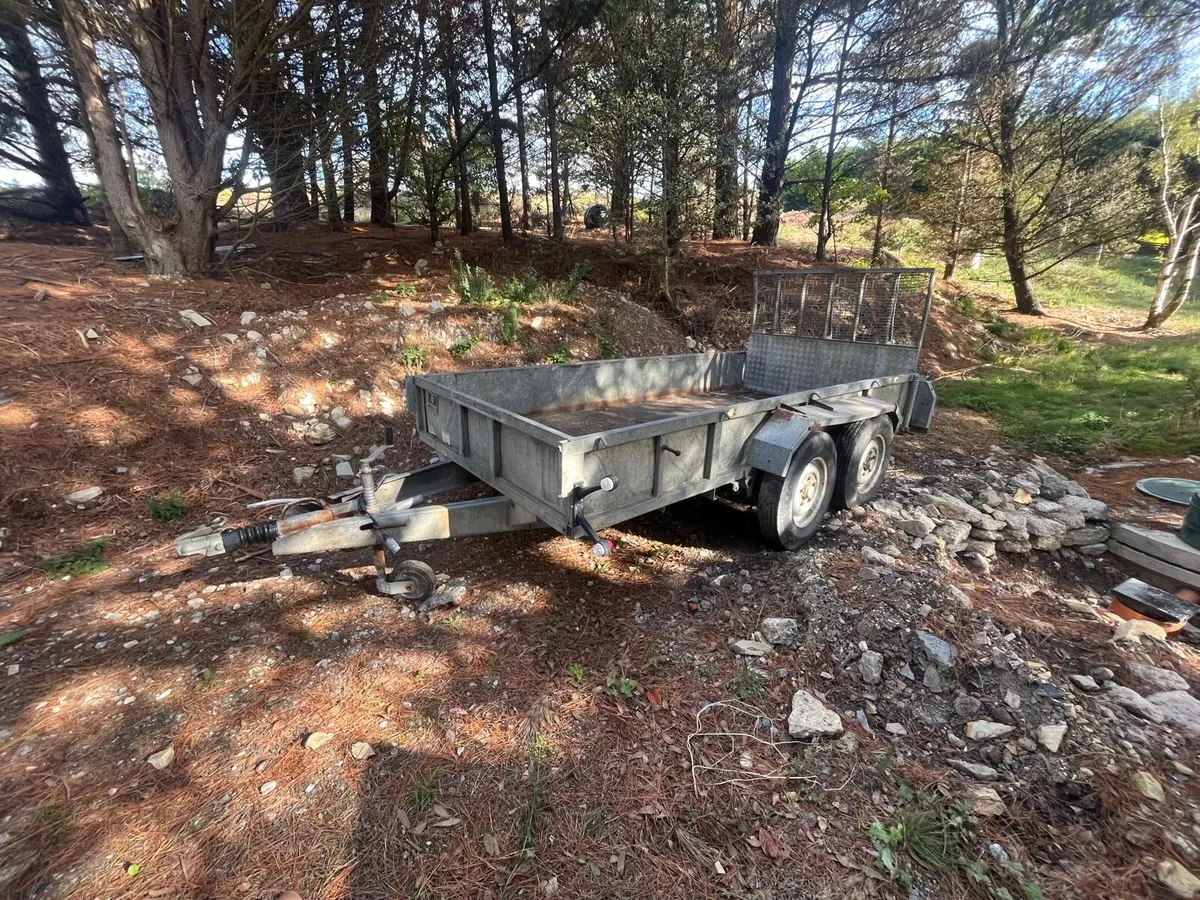 12x6 iforwilliams plant trailer - Image 1