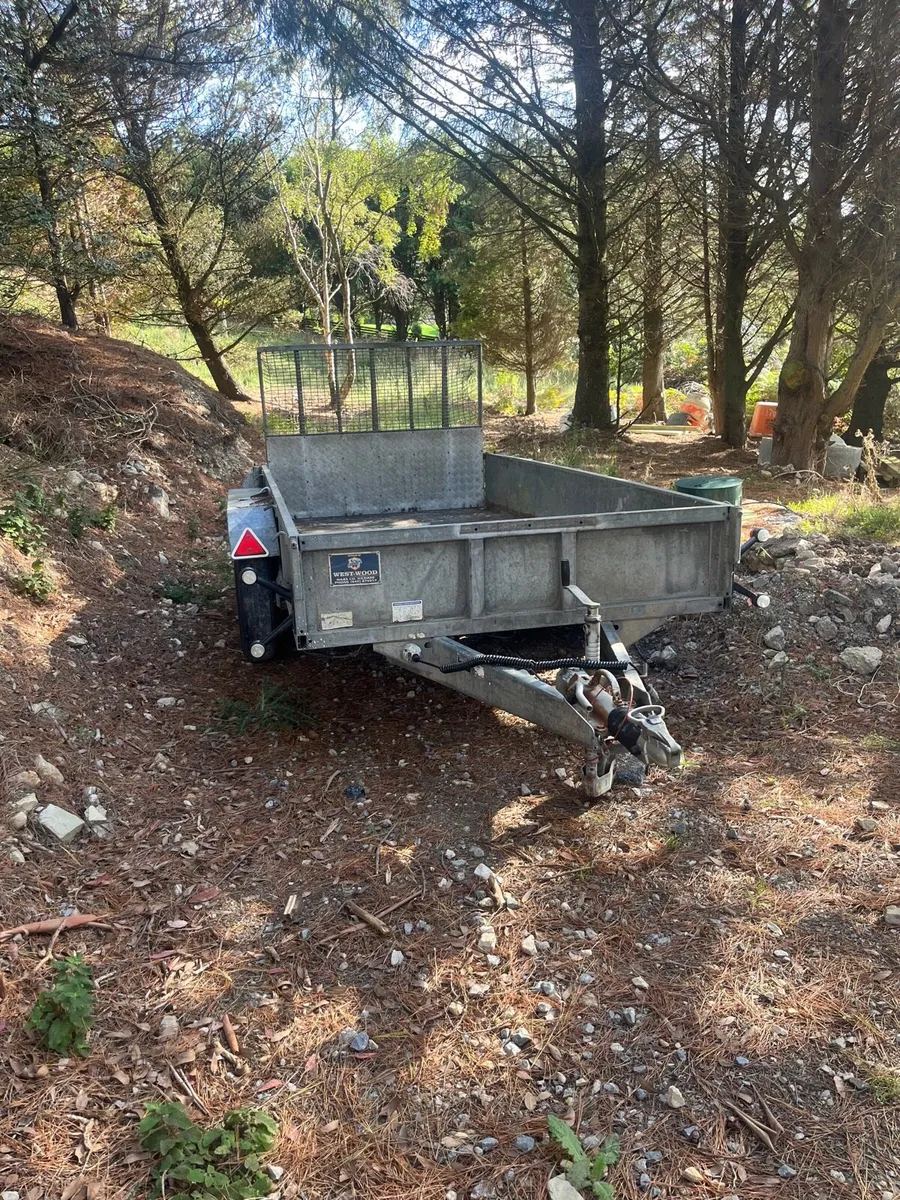 12x6 iforwilliams plant trailer - Image 2
