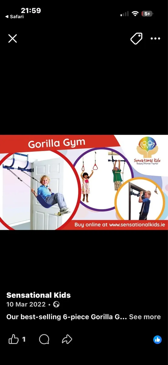 Gorilla gym - Image 1