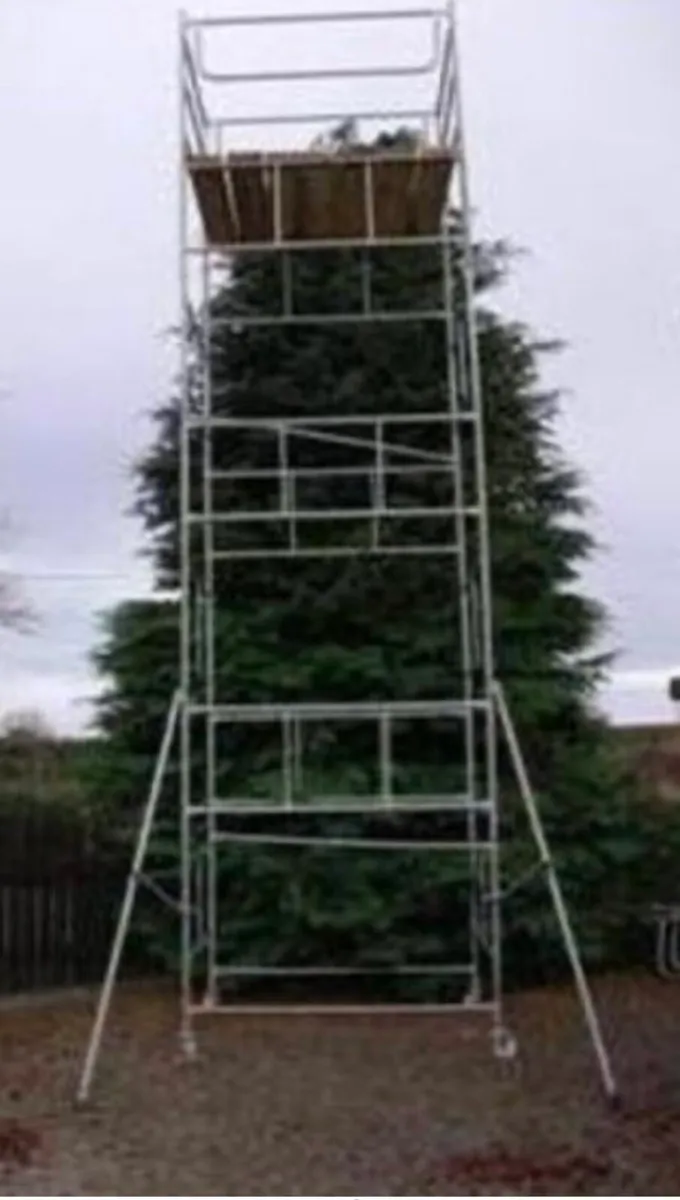 Scaffolding - Image 2