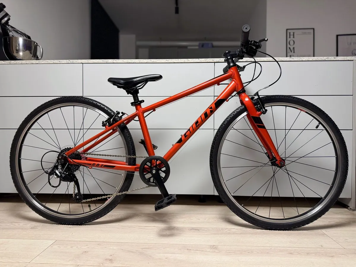Giant ARX Junior Bike 26 inch - Image 1