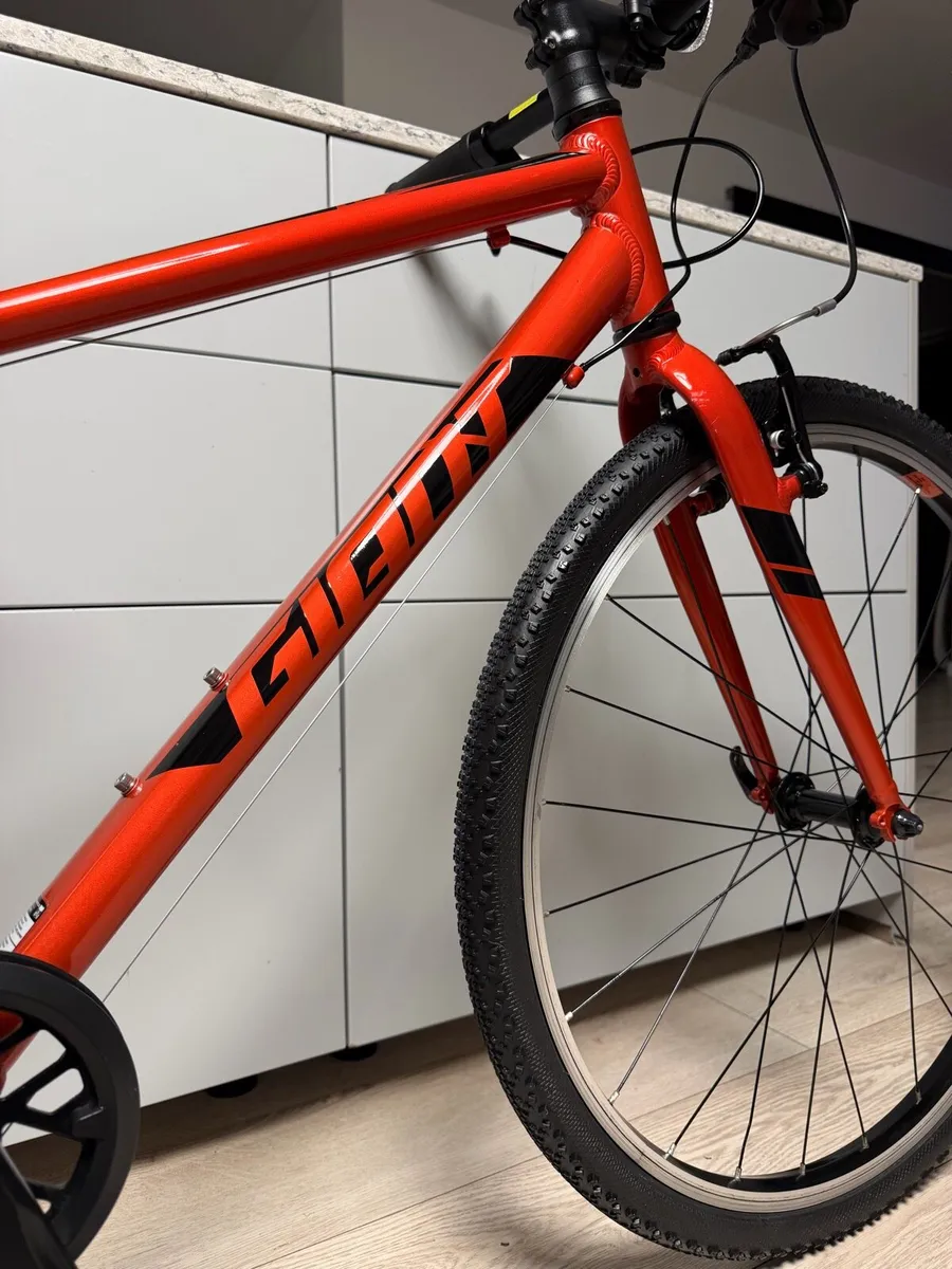 Giant ARX Junior Bike 26 inch - Image 3
