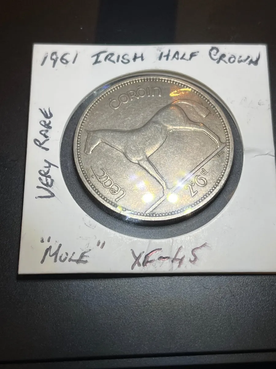 Rare Irish Half Crown for sale - Image 1