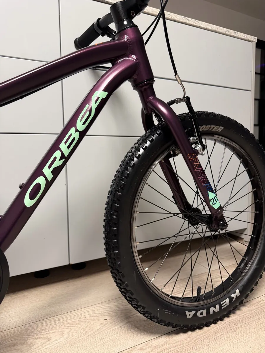 ORBEA MX20 Dirt Kids Bike 20 inch - Image 3
