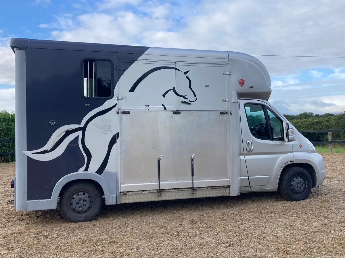 2 horse van - Image 4