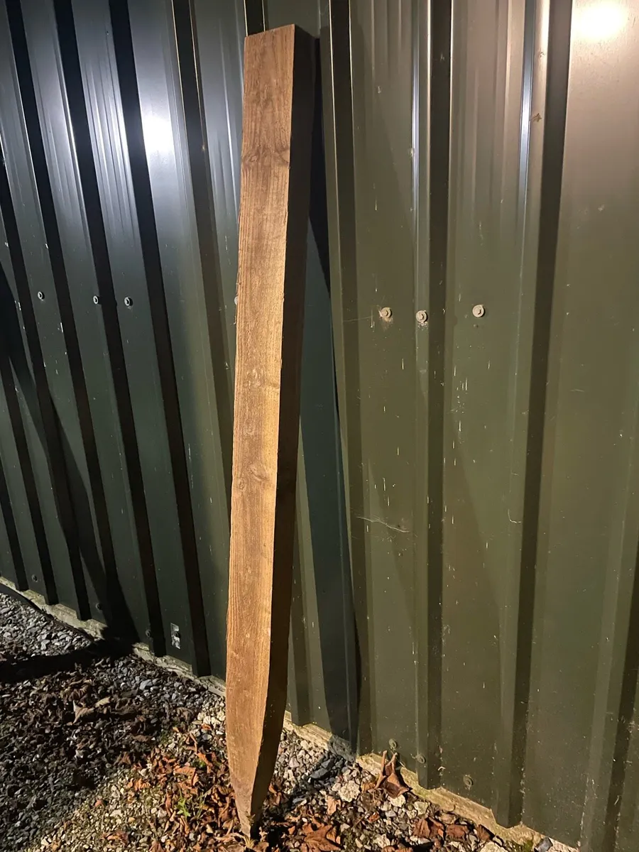 Larch posts - Image 3