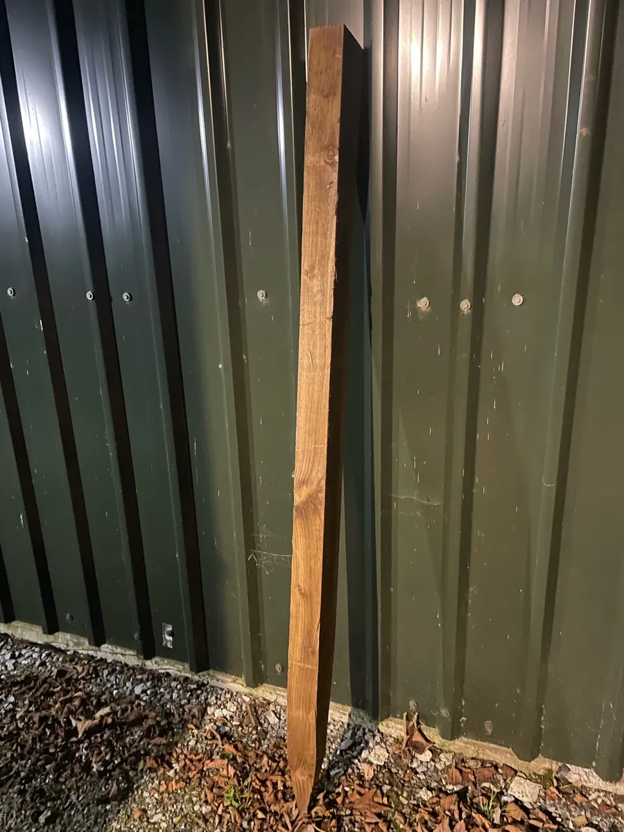 Larch posts - Image 1