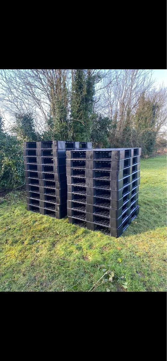 Plastic Pallets - Image 1